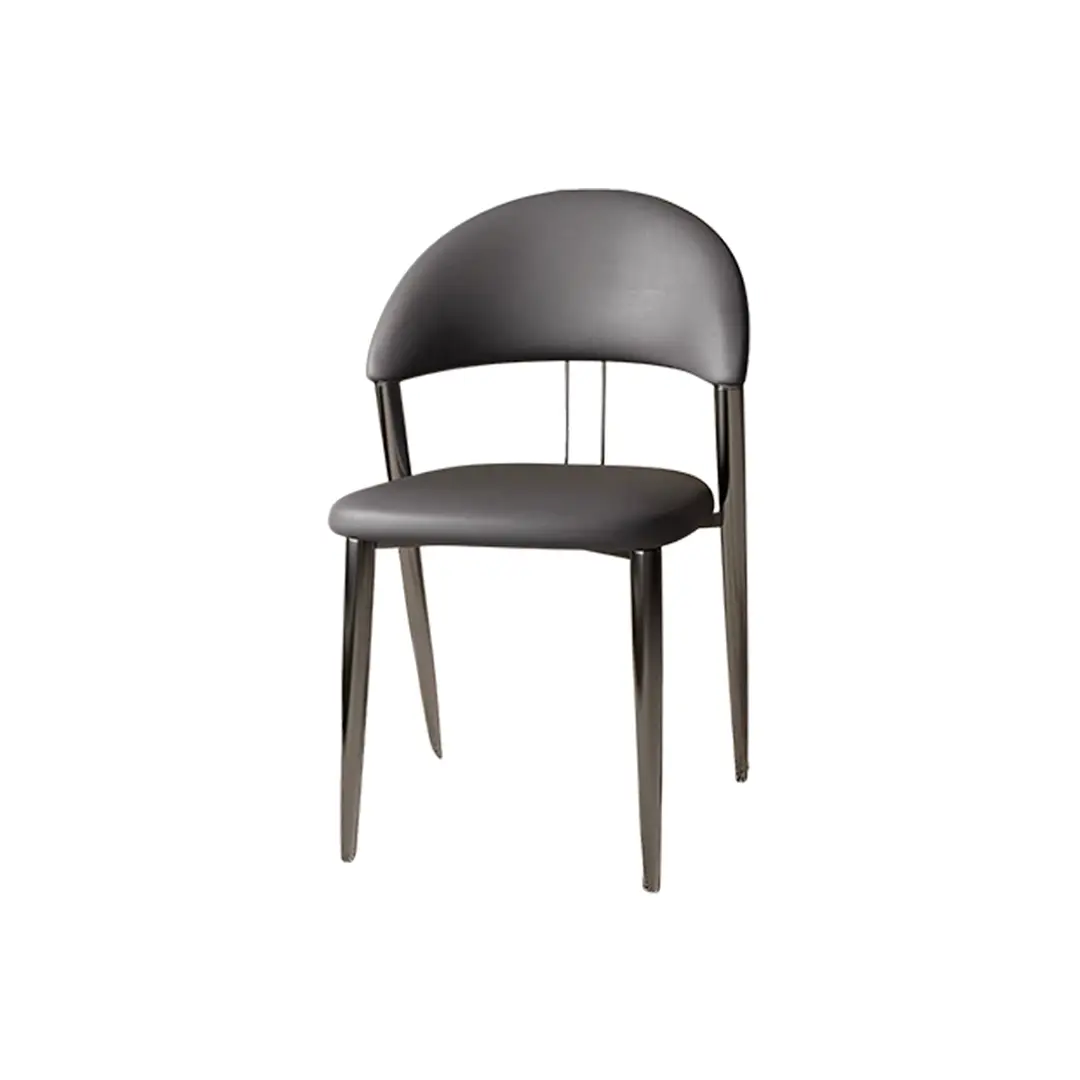 Modern Dining Chair_C009