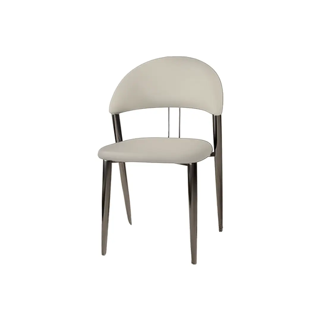 Modern Dining Chair_C009