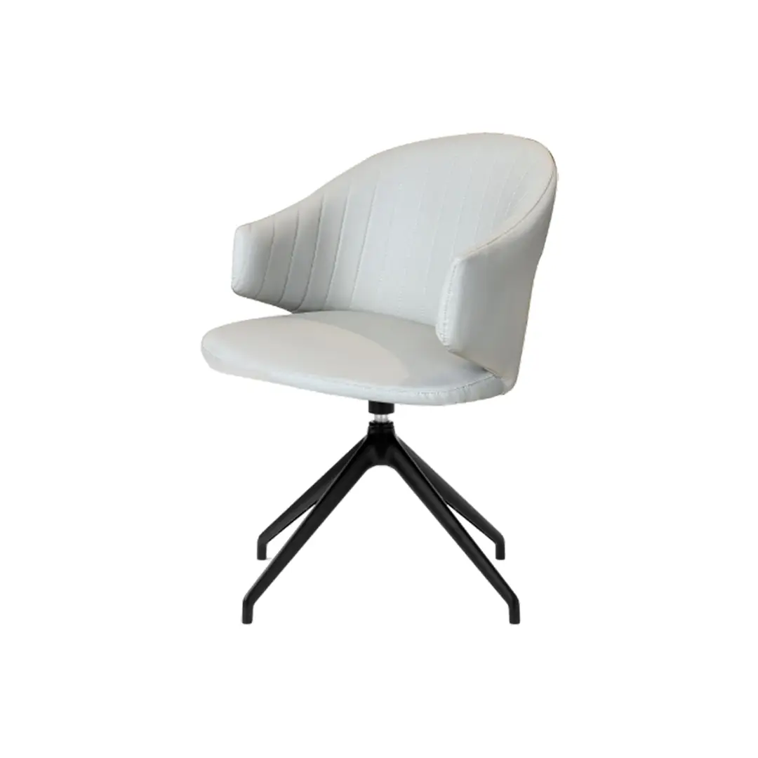 Modern Dining Chair_C023