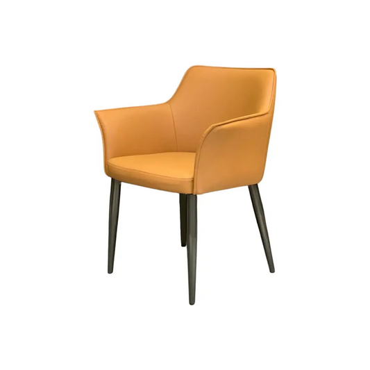 Modern Dining Chair_C010