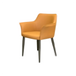 Modern Dining Chair_C010
