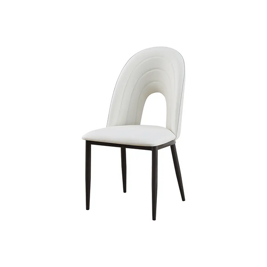 Modern Dining Chair_C015