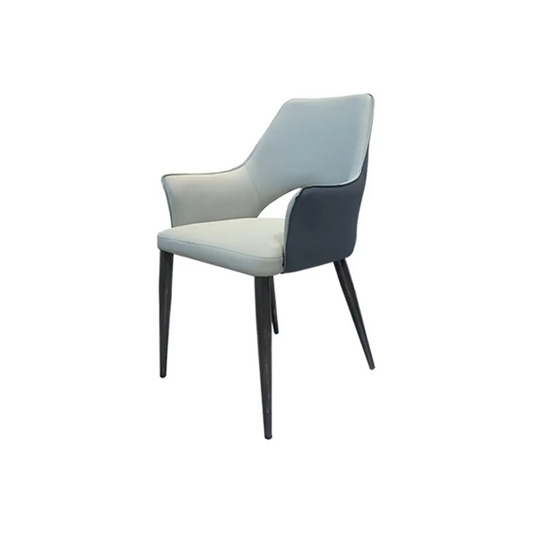Modern Dining Chair_C017LG