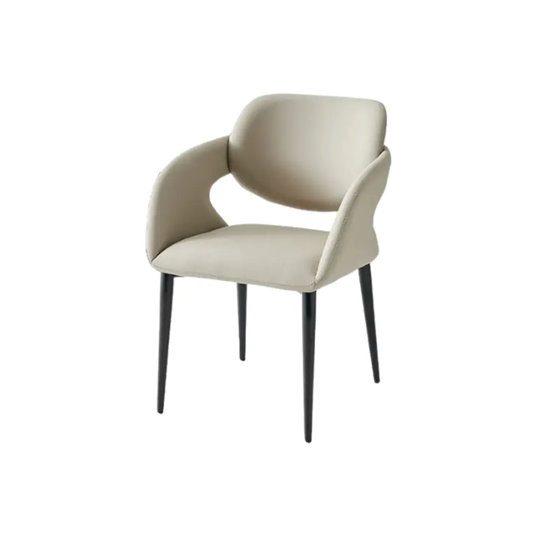 Modern Dining Chair_C020