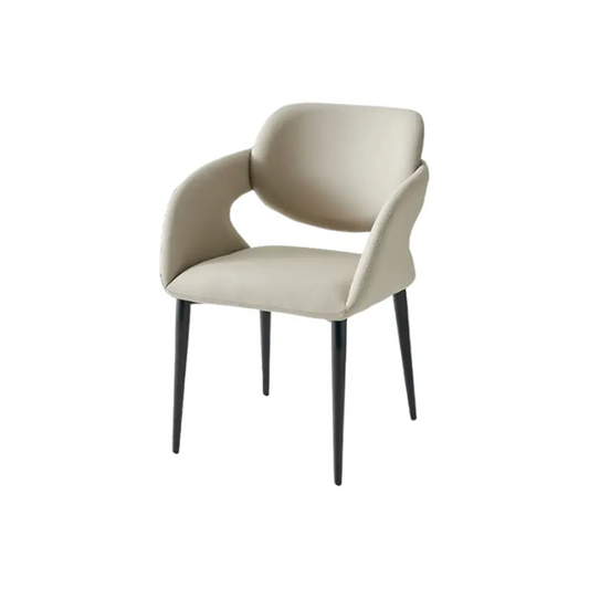 Modern Dining Chair_C020