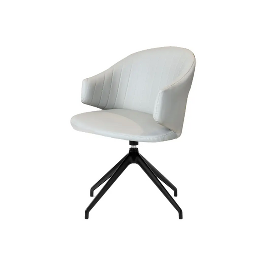 Modern Dining Chair_C023