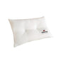 Pillow_PI005