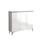 Shoe Cabinet SC009