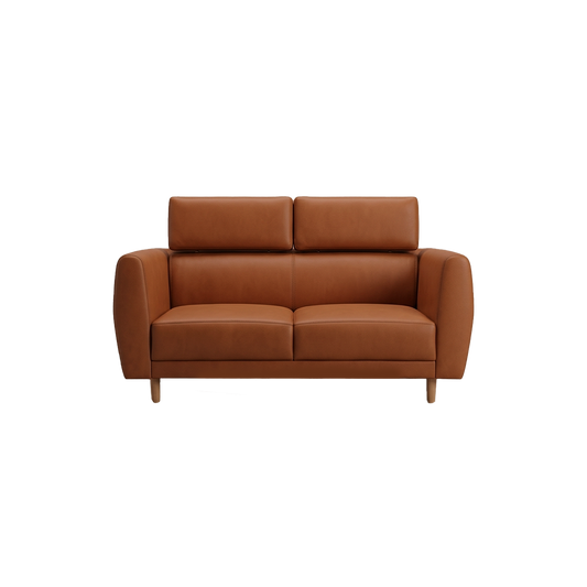 Luxury SL velvet fabric 2 Seater Sofa_SL0023